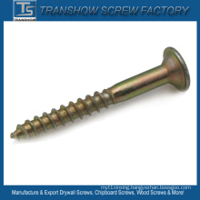 Philips Drive Big Flat Head Self Tapping Screws